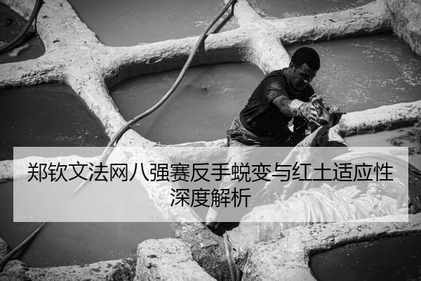 郑钦文法网八强赛反手蜕变与红土适应性深度解析