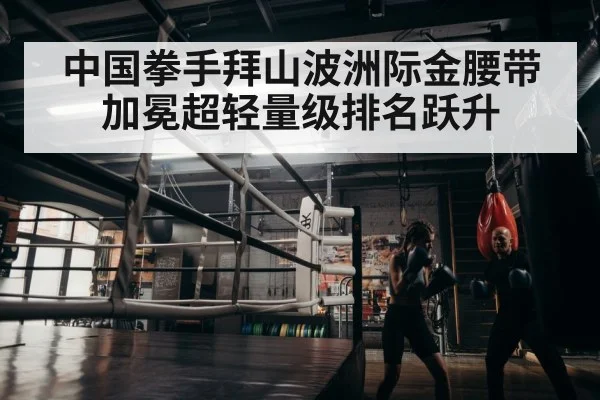 boxer training